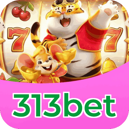 Suporte 313bet